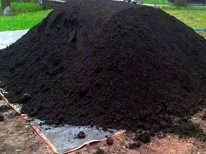 Фото №0 Торф в мешках с доставкой в Комарово