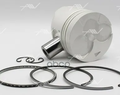 фото поршень с кольцами 1.00 MITSUBISHI 4D55/56 Autowelt арт. PN32042