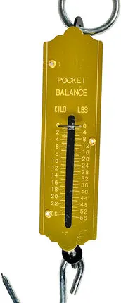 Фото №0 Весы - безмен 25 кг 1500