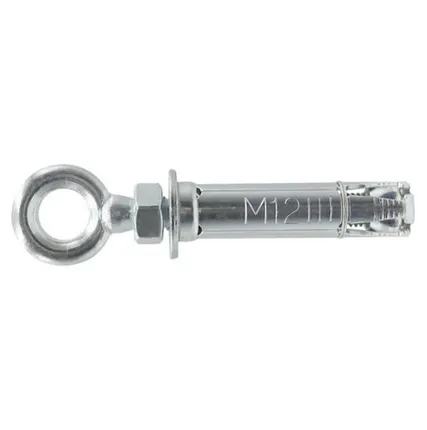 Фото №0 анкер-гильза оцинкованная с петлей ПАРТНЕР AC-AR M12x80 D20 2шт