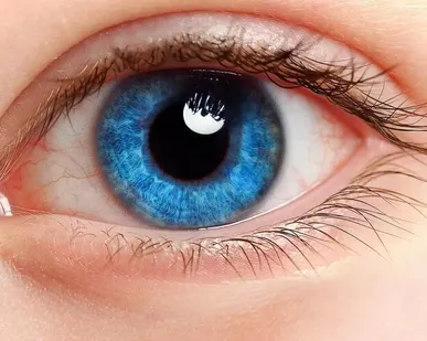 фото Консультация врача-офтальмолога и подбор контактных линз