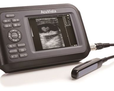 фото Ветеринарный УЗИ сканер AcuVista VT98b – для КРС