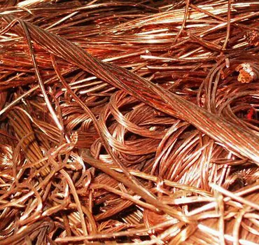 Эколайф Карелия