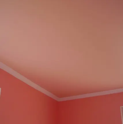 Фото №0 Потолок натяжной 100% ПВХ (MSD) Бельгия матовый цветной