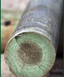 фото Опора деревянная для ЛЭП пропитанная 6,0м, 6.5м, 8.5м, 9,5м, 11м