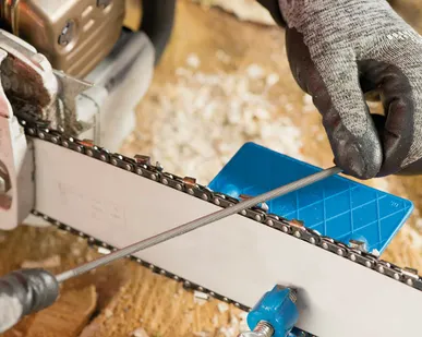 фото Заточка цепи бензопилы