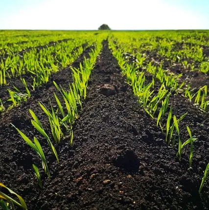 Фото №0 Грунт плодородный на основе торфа низинного доставка по Ярославле   области