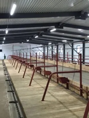 Фото №2 Транспортеры навозоудаления ТСН 2Б 3Б в Первоуральске