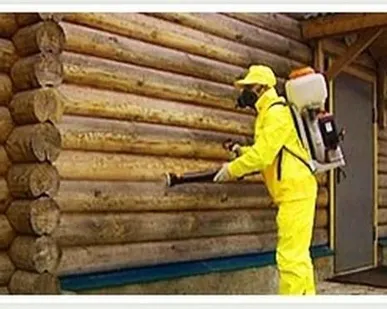 фото Огнебиозащитная обработка деревянных конструкций кровли