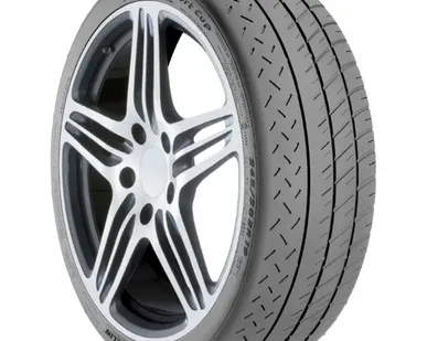 фото Автомобильная шина MICHELIN