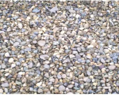 фото Гравмасса