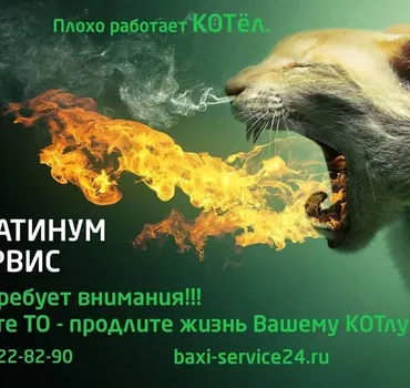 Платинум Сервис