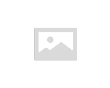 фото Диск сцепления нажимной ГАЗон Next дв.ЯМЗ-53445 362311601090