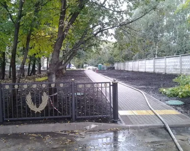 фото Газонное ограждение