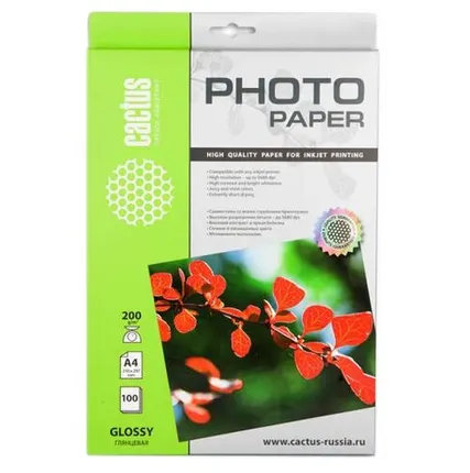 Фото №0 Бумага A4 100 шт. cactus