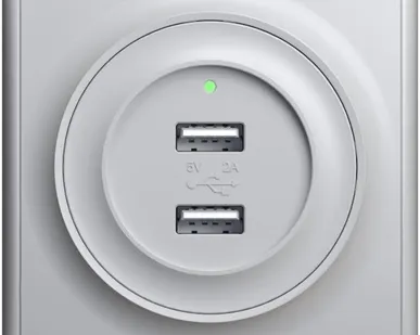 фото Розетка USB 2-м СП Florence 16А IP20 с подсветкой механизм сер. 1E10351302 OneKeyElectro 2260091