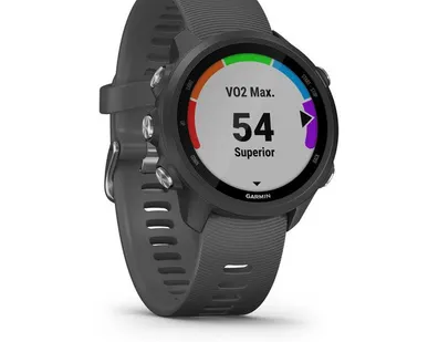 фото Часы Garmin Forerunner 245 черные с серым ремешком