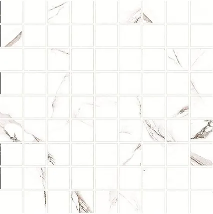 Фото №0 Керамический гранит GRASARO Classic Marble 300x300 мозаика G-270/G/m01