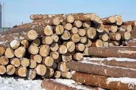 фото Лес кругляк