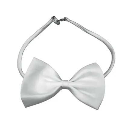 Фото №0 Бабочка LTR YP-43 White - LTR