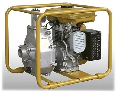 фото Мотопомпа PTG 208 H