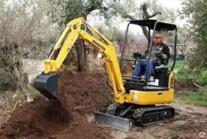 Фото №0 Миниэкскаватор в аренду