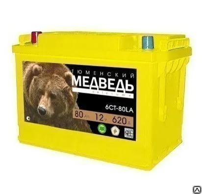 Фото №0 Аккумулятор 55 - 6 СТ АПЗ Тюменский медведь (Жёлтый)
