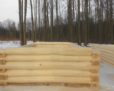 фото Сруб бани липовый