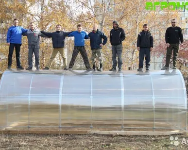 фото Теплица Дачница