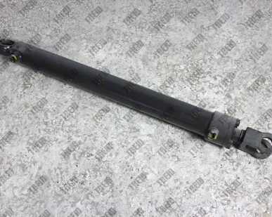 фото Гидроцилиндр стрелы 3000GT