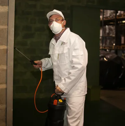 Фото №0 Дезинфекция