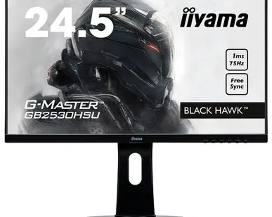 фото Монитор Iiyama G-Master