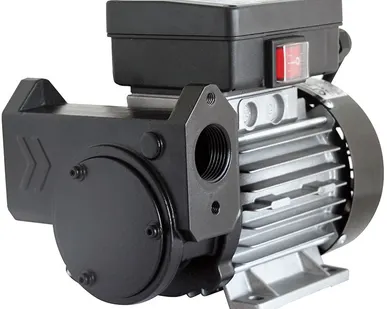 фото IRON-50 230V AC - Самовсасывающий роторный лопастной электронасос для ДТ