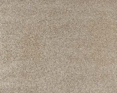 фото Ковролин Ideal Echo 330