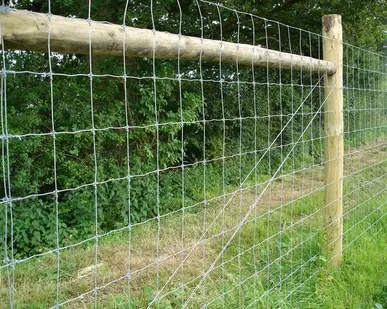 фото Сетка с фиксированным узлом