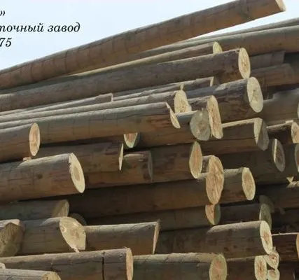Фото №0 Опора окоренная 6,0м