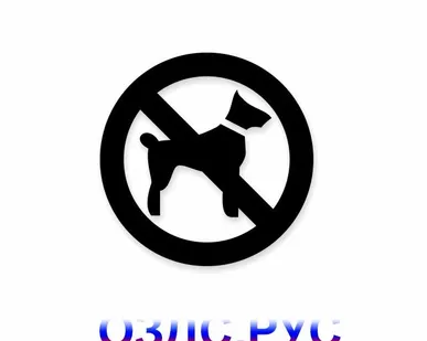 фото Наклейка “Запрещен вход с животными”