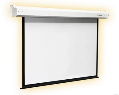 фото Экран с электроприводом Digis Electra формат 1:1 118" (220*220) MW