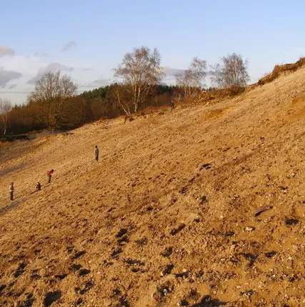 Фото №0 Песок