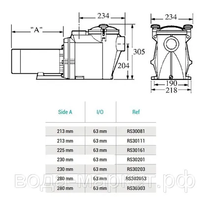 Фото №1 Насос Hayward RS II RS30111 (220V, 1HP)