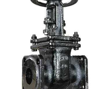 фото Задвижка чугунная параллельная двухдисковая