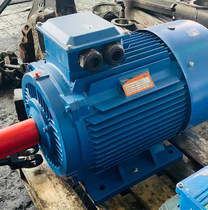 Фото №1 Электродвигатель 5аи 250 М6 55/1000 IM 1001