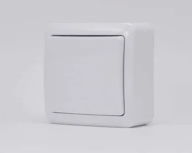 фото Выключатель 1-кл. 1п ОП Viola 10А IP20 бел. LEZARD 751-0200-100