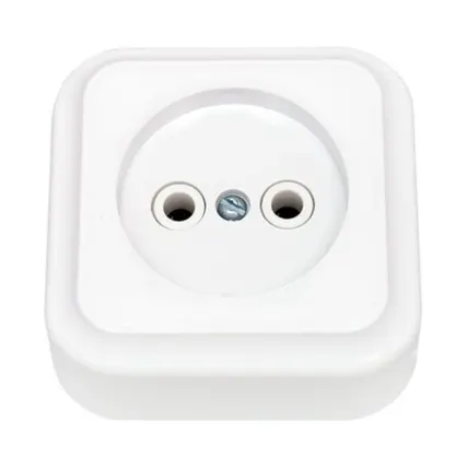 Фото №0 СВЕТОПРИБОР Розетка Пралеска 1 мест. б/з ОУ белая 16А 250В РА16-255 СВЕТОПРИБОР