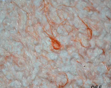фото Шелковая штукатурка Silk Plaster (жидкие обои) Оптима 055