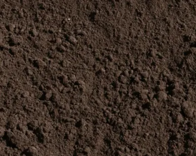 фото Перегной