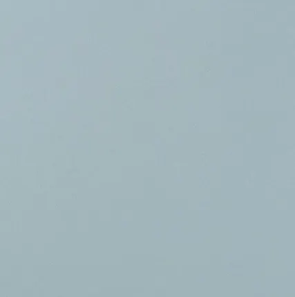 Фото №0 Atlas Concorde ARKSHADE Arkshade Sky 40x80 (8AKH) Керамическая плитка