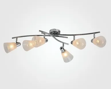 фото Спот 20053/6 хром