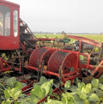 Фото №0 Комбайн капустоуборочный МКК-2