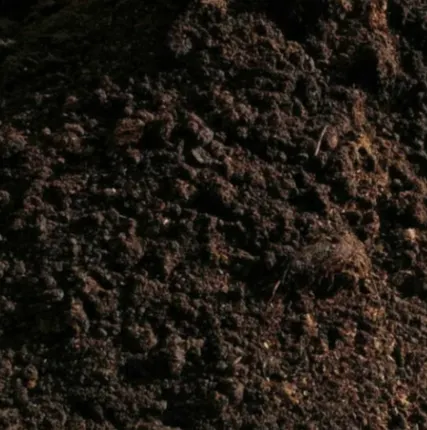 Фото №0 Чернозем